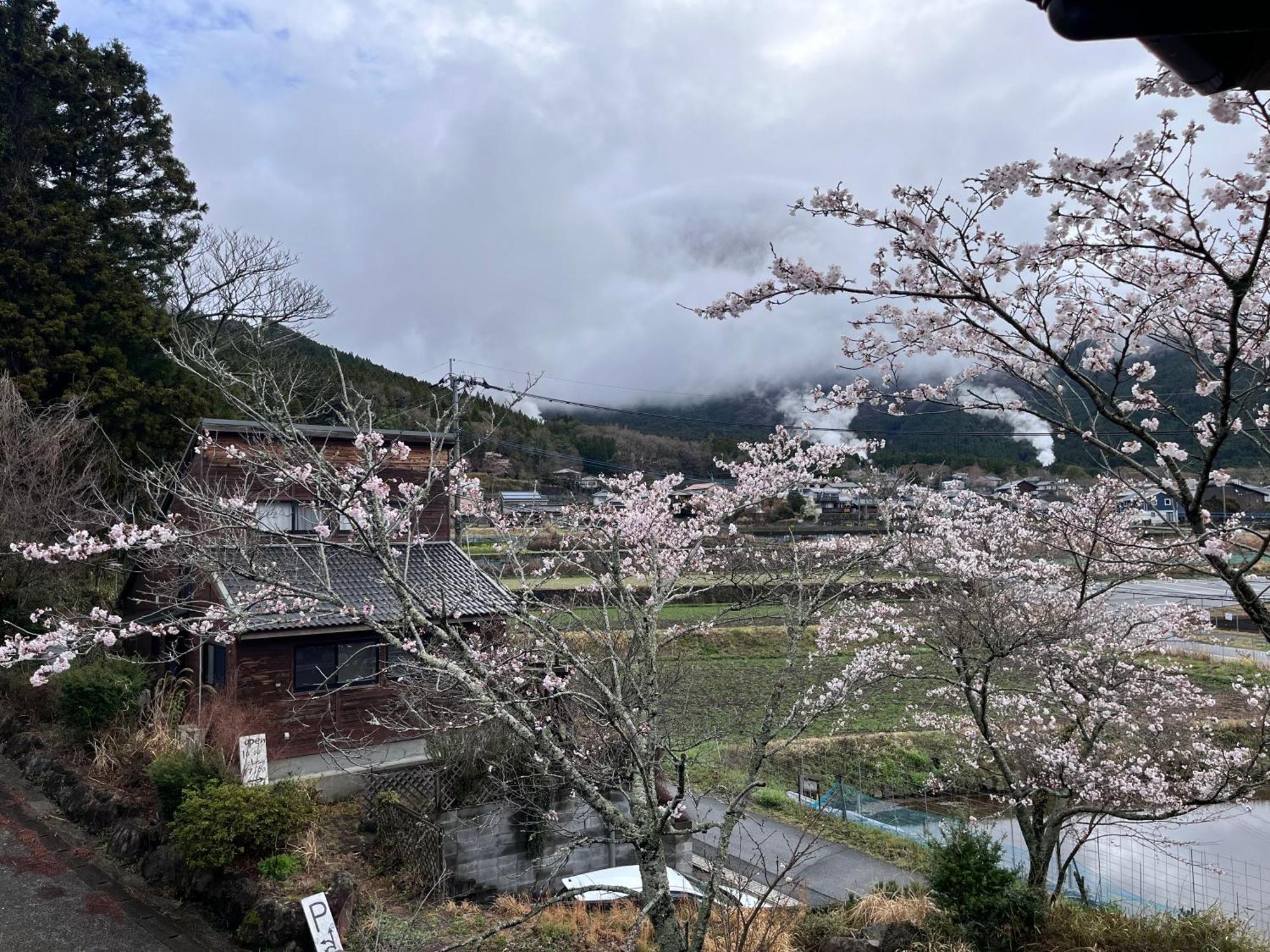 Homestay 湯布院我楽珍民泊yufuin Garakuchin *